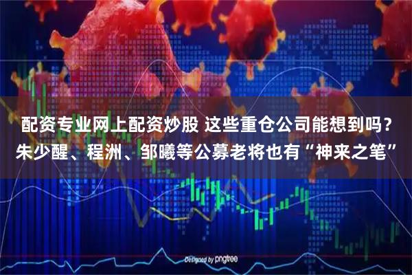 配资专业网上配资炒股 这些重仓公司能想到吗？朱少醒、程洲、邹曦等公募老将也有“神来之笔”